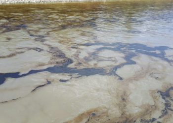 Caño Limón