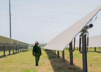 Iberdrola inicia operaciones de proyectos solares por más de 521 MW en EE.UU. 