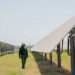 Iberdrola inicia operaciones de proyectos solares por más de 521 MW en EE.UU. 