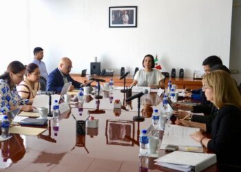 Sener anuncia Comité de Asignaciones, Contratos y Permisos