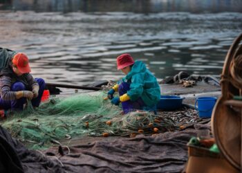 Cemex usará redes de pesca abandonadas para crear combustible alterno en sus hornos de Panamá 
