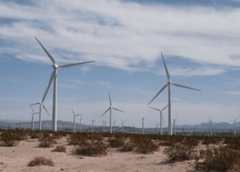 Vestas firma acuerdo con GPG para operar y conservar parque eólico Bií Hioxo en México