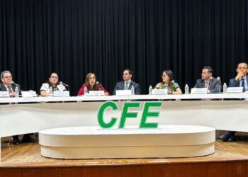 CFE invertirá 31,528 mdp para impulsar industrias mexicanas en proyectos eléctricos