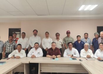 CFE instalará granjas solares en Tula