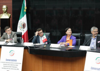 Senado evalúa creación de organismo internacional para regular explotación de litio   