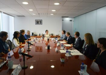 Aprueban reglas de operación del Comité Técnico de la CNE