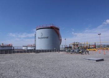 Grupo Techint gana terreno en Vaca Muerta Sur con sus empresas Tecpetrol y Tenaris  