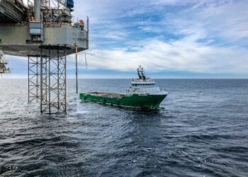 Pemex y Woodside fortalecen lazos en el Senado