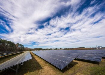 Bolsa Mexicana de Valores reconoce a CFE 
