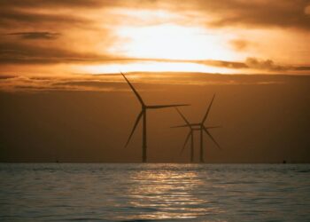 Iberdrola lanza iniciativa para cuidar ecosistema de su parque eólico marino en Francia 