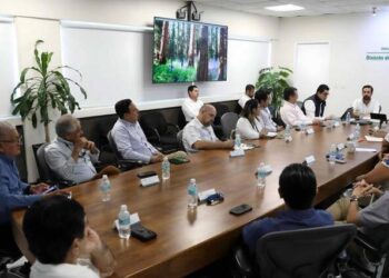 CFE y empresarios impulsarán suministro energético en Yucatán