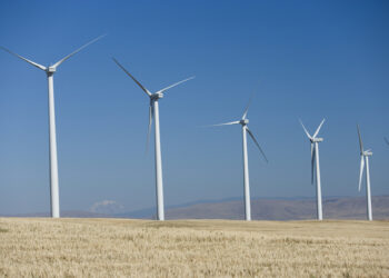 Google compra más de 100 MW de energía limpia de Iberdrola para sus Centros de Datos