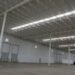 Bajío Industrial Park recibe inversión de 6.9 mdd para dos nuevas Naves