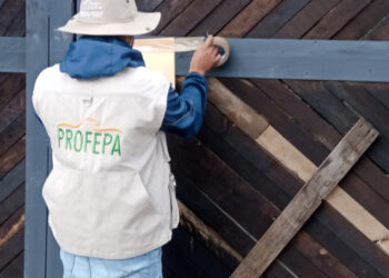 Profepa: Empresa Harmous se niega a ser clausurada por reciclaje ilegal de aceites
