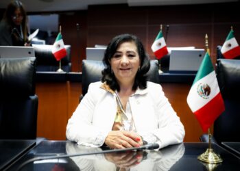 Beatriz Silvia Robles asumirá la presidencia de la Comisión de Energía del Senado