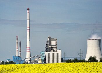 Shell ‘se baja del tren renovable’: cancela megaplanta de biocombustibles en Róterdam