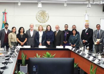 Senado llama a usar tecnología para descarbonizar industria energética 