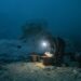 Grupo México espera autorización Federal para continuar proyectos mineros por 10,200 mdd 
