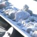 Litio: el mineral estratégico que México no logra despegar pese al boom minero