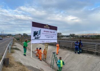 Inversión de 24 mil mdp en carreteras fortalecerá la logística y conectividad de Michoacán: SICT