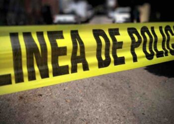 Crimen y economía ilícita, el principal riesgo para México en 2026, alerta el WEF