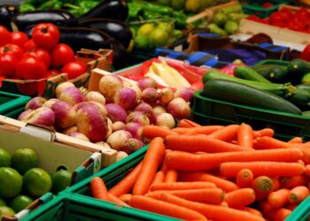 Menos desperdicio, más planeación: clave para la industria de alimentos