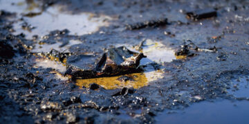 Chapopote sin dueño: el derrame que ya manchó 630 km del Golfo
