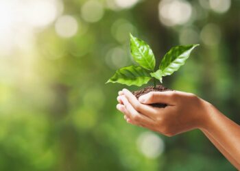 Reconocen a USG como Empresa Socialmente Responsable