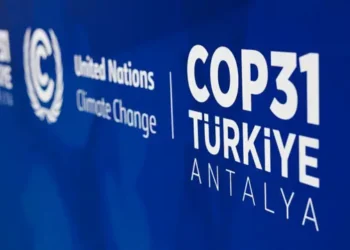 COP31 propone aumentar electrificación hasta el 35%