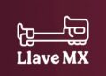 ¡Adiós a las filas! Trámites de autotransporte serán digitales con Llave MX
