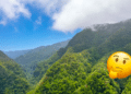 Día Mundial del Medio Ambiente ¿Qué estamos haciendo por la tierra?