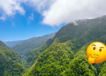 Día Mundial del Medio Ambiente ¿Qué estamos haciendo por la tierra?