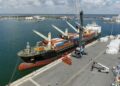 Green Tide Logistics abre nueva ruta marítima entre México y EU desde Tuxpan