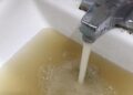 Crisis en Guadalajara: ¿qué hay detrás del agua contaminada que llega a las casas?