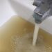 Crisis en Guadalajara: ¿qué hay detrás del agua contaminada que llega a las casas?